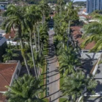 Rua+das+Palmeiras+joinville2